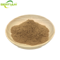 High-Quality Bletilla striata Extract Powder