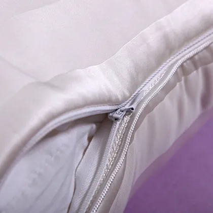 Customized Health Silk Natural Comfort Pillow With Mulberry Fabric