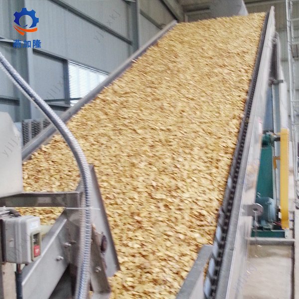 Giantarum Mesh Belt Dryer Machine