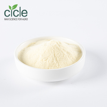 Amino Acid Powder 80 Enzymolysis