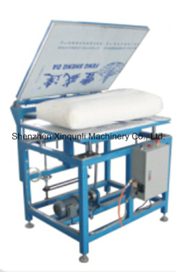 Flapping & Flating Pillow Machine (ESF005-2F)