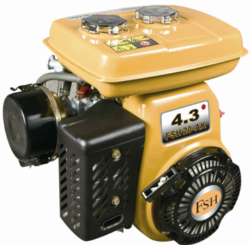 Robin Kerosen Motoru/Ey20k 4.3hp