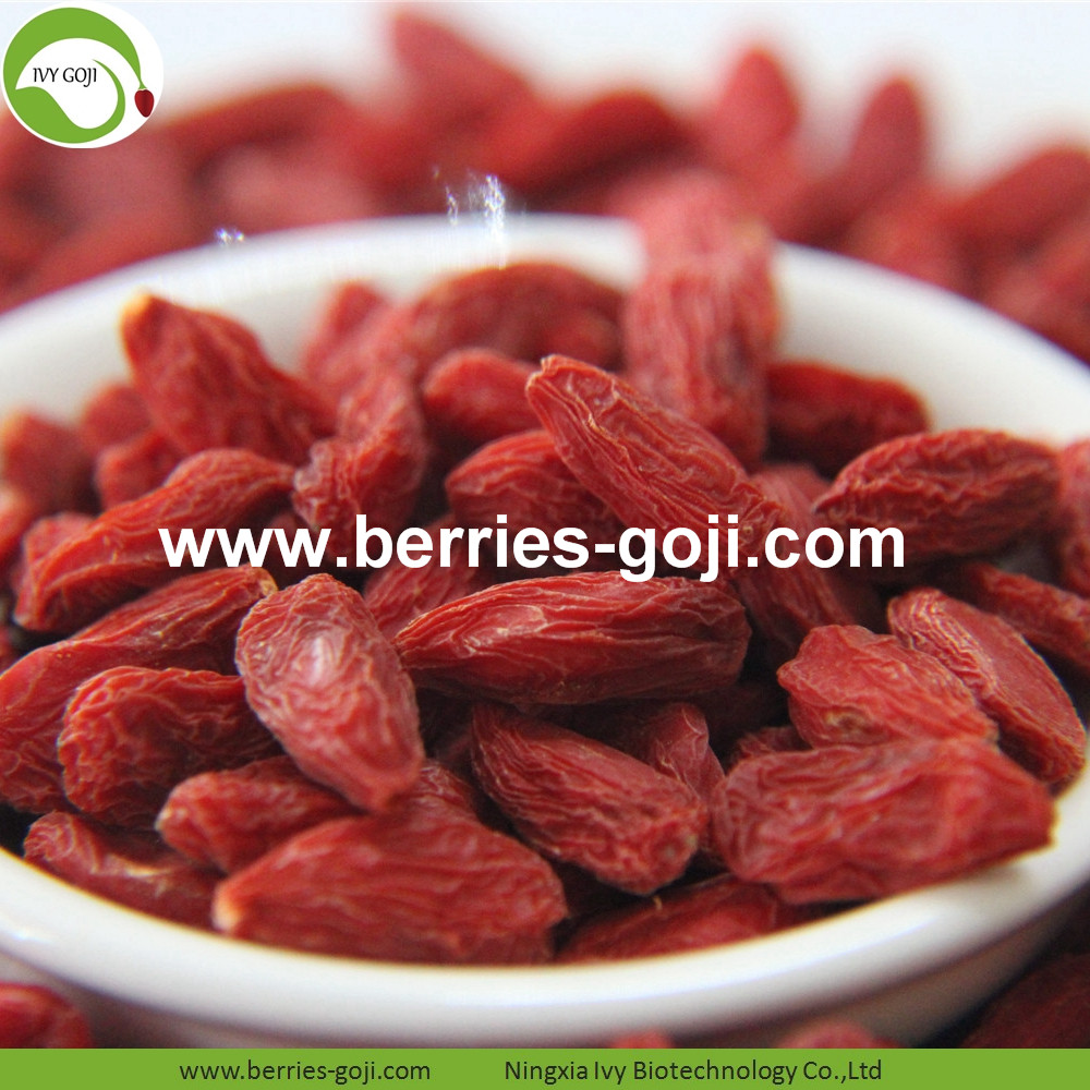 Common Goji Berry