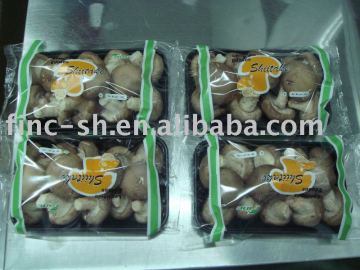 dried shiitake mushroom