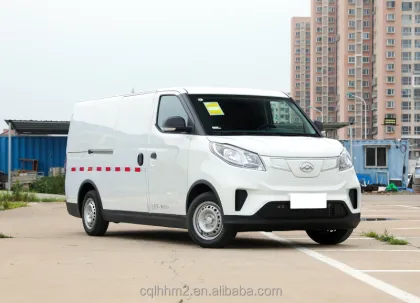 Saic MAXUS EV30 Electric Cargo Van - New Energy Vehicle