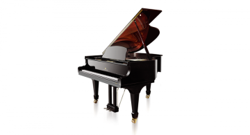 Black professional instrument grand piano