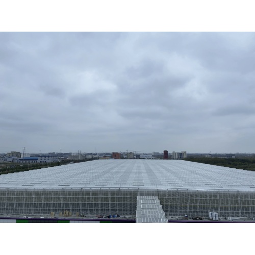 Sky Farm Greenhouse Structure