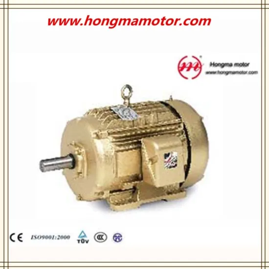 GOST Standard Three-Phase Asynchronous Motor