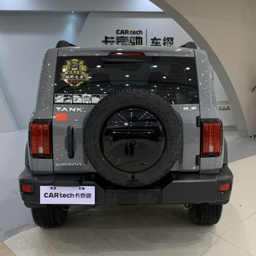 Tank 300 Версия 2.0T Luxury Dealerhips внедорожников
