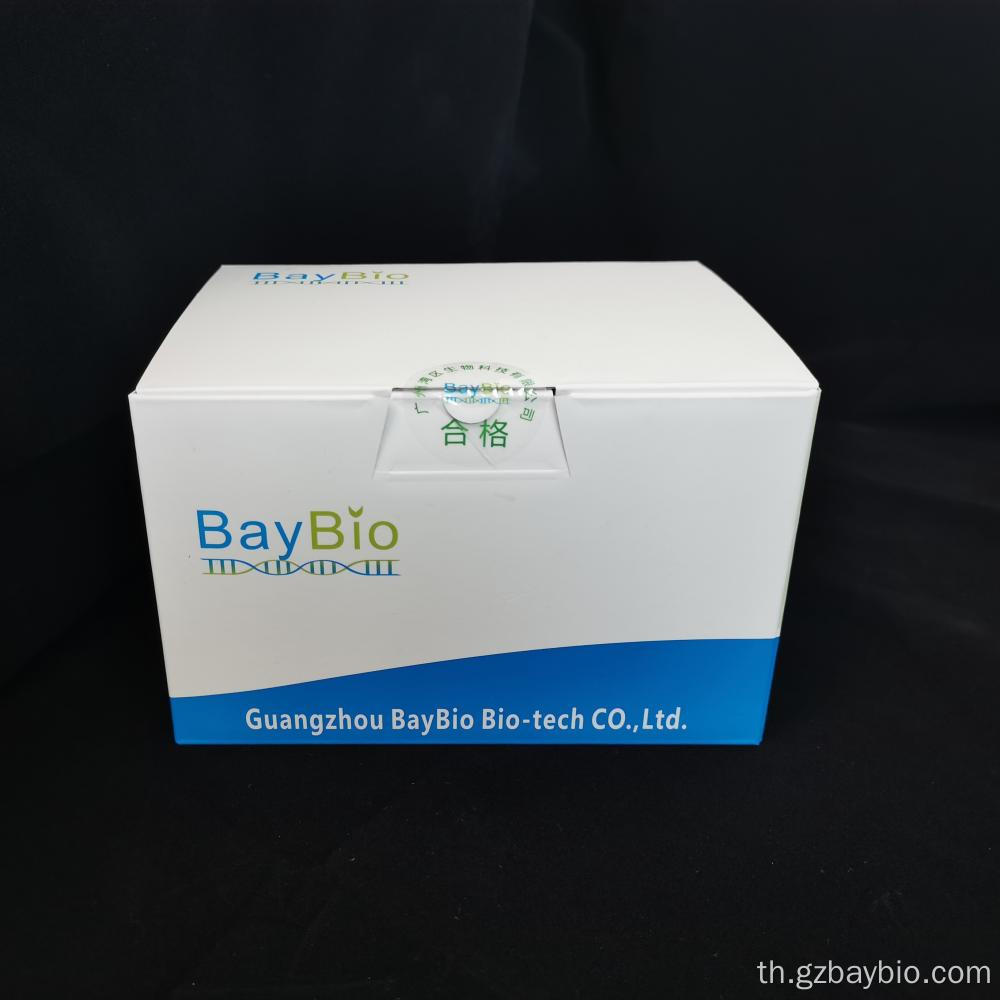 การวิจัยตัวอย่างการวิจัย Baypure Gel DNA RECOVERE