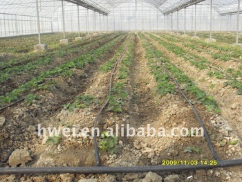 Typical Drip Irrigation System