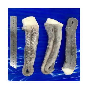 dosidicus gigas squid tentacle,chilean giant dosidicus gigas squid tentacle