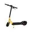 Electric 2 Wheel Waterproof Scooters Powerful And Foldable