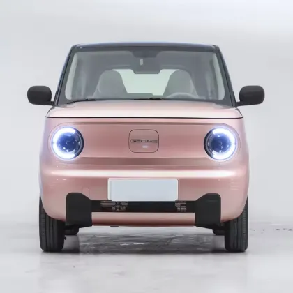 Geely Panda Mini Electric Car: 120km New Energy Vehicle for 2024