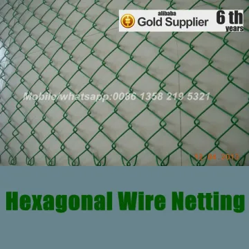 China anping factory Hexagonal Wire Netting,Hexagonal Chicken Wire Netting