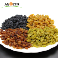 Gred Top Natural Golden Raisins For Sale