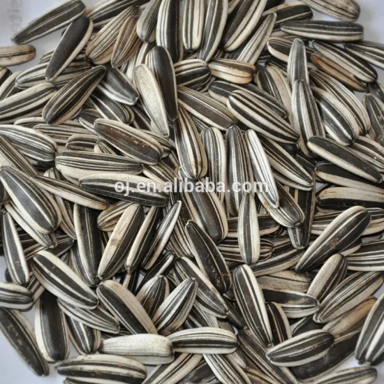 Top grade white stripe sunflower seed