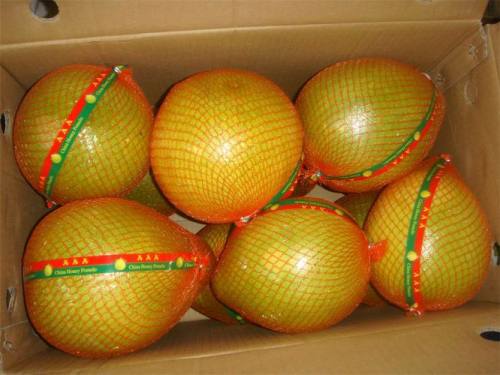 Hot försäljning läckra färska pomelo