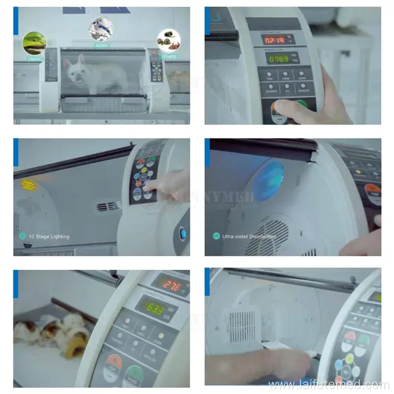 Portable Pet ICU Oxygen Incubator