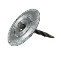 10 ιντσών 250 χιλιοστών στέγης Philip Screw