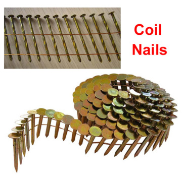 Galvanized Coil Nails Factory