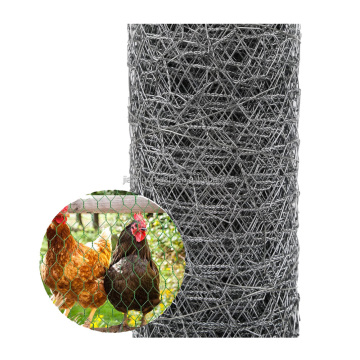 Galvanized Chicken Wire Netting 19 Gauge 3/4 Inch