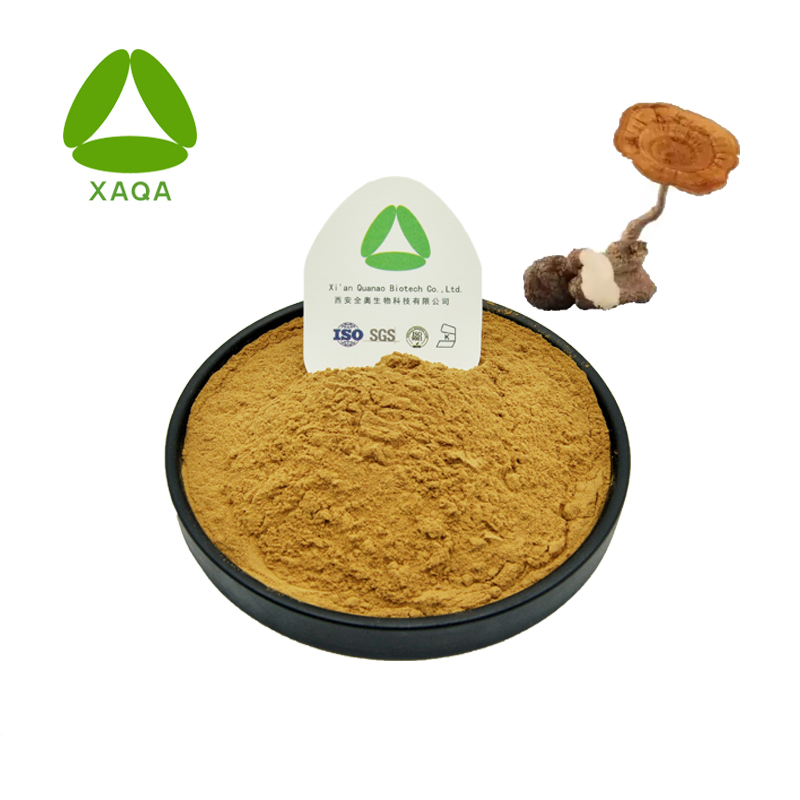 Pure Tiger Milk Mushroom Extract 30% Polysaccharides Powder