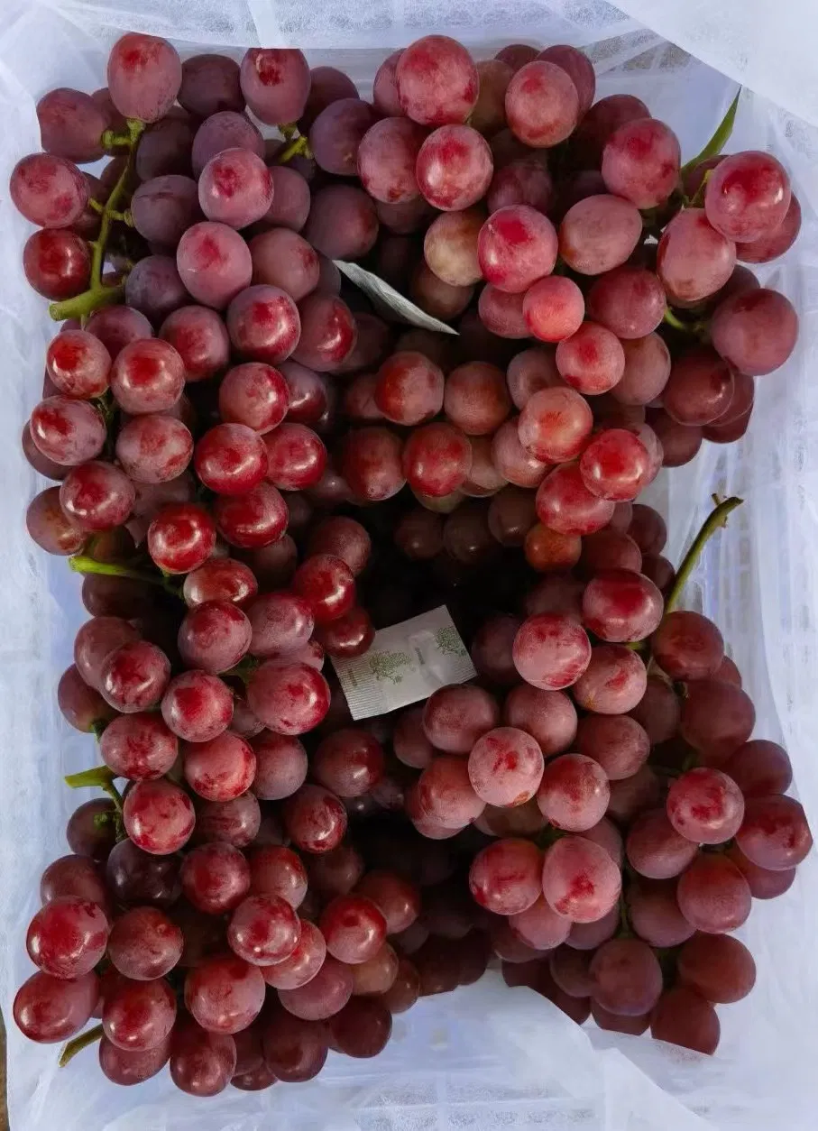 Masarap at Makatas na Iba't-ibang Red Grape