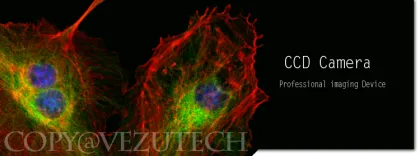 Color 5Mp CCD Microscope Camera for Scientific Research