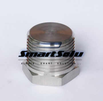 Hex Male Pipe Plug