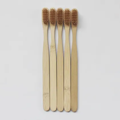 Soft Bristle Toothbrush for Preventing Gum Bleeding