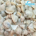 Gefrorenes Muschelfleisch, hochwertige Auswahl an aquatischen Meeresfrüchten