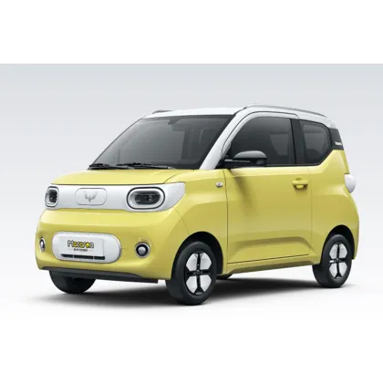 Wuling HongGuang Mini EV: The Electric Car