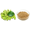 Polvo de extracto de grano de café verde 10: 1 perder peso