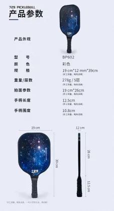 729 pickleball 602 dark blue sky