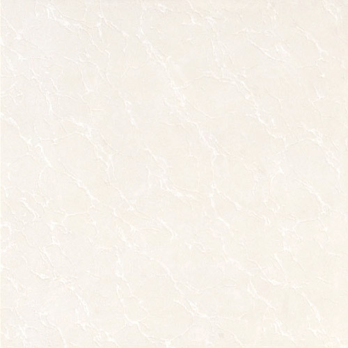 2015 Hot Sales Soluable Salt Series Floor Tiles (FS6001)