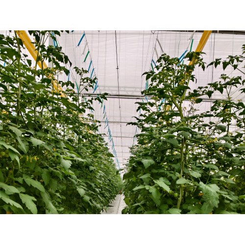 Hanging Vertical Cultivation System