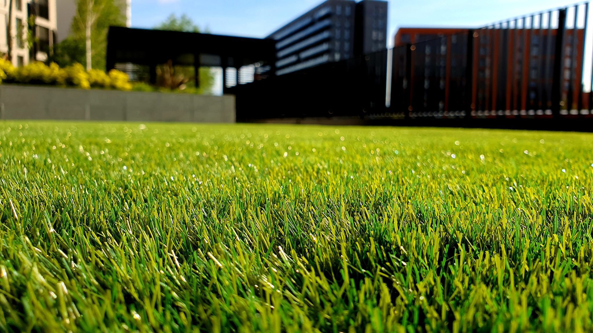 artificial grass artificial grass