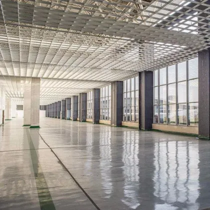 Steel Frame Steel Grid Steel Structure Curtain Wall Skylight