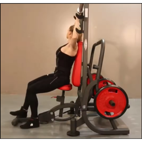 Commercial Fitness Equipment Plate Loaded INCLINED BENCH