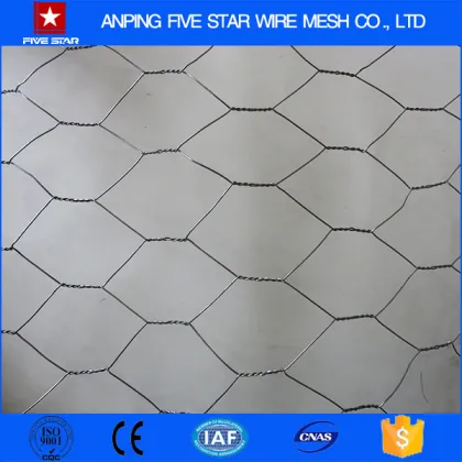 3/4" Lobster Trap Hexagonal Wire Mesh 1x25m