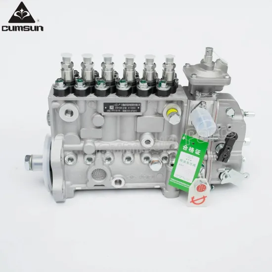 Machinery engine fuel injection pump 3973900 for cummins 6CT8.3 engine parts
