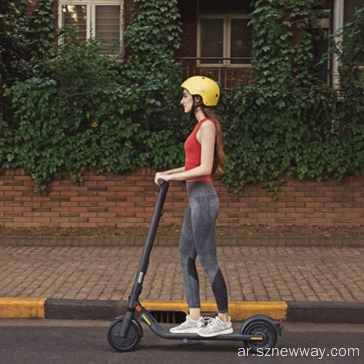 Xiaomi Segway نينبلو E25 الكهربائية ركلة سكوتر