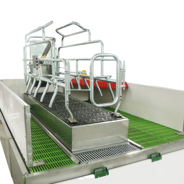 High Quality Hot Selling Lifting Sow Farrowing Crate for Pig Farming Equipment