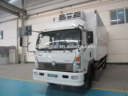 sinotruk CDW 0-- -21 cargo doods van refrigeration units on sale