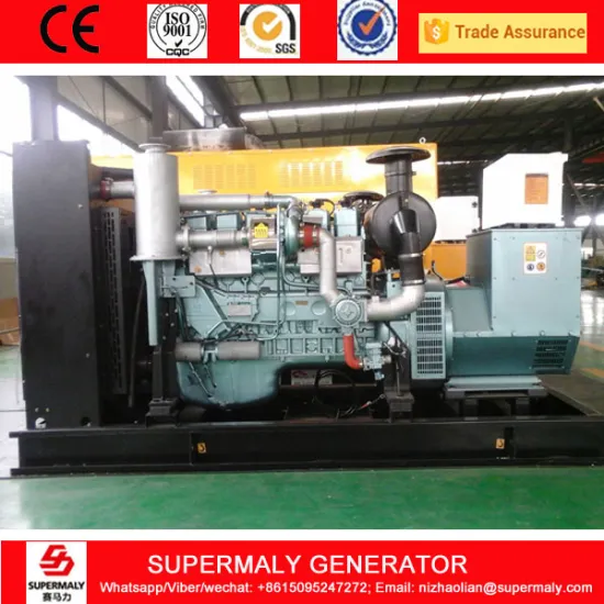 Sinotruck 120KW Natural Gas Generator