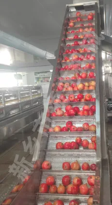 Pomegranate Peel Removal Machine for Juice Processing