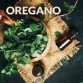 Factory sell 100% Pure Natural Oregano Oil Wholesale