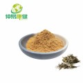 Instant White Tea Powder White Tea Extract Powder