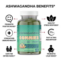 Well Sleep Stress Stress Relief Ashwagandha Gummies